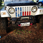 Texas State Flag Grille Insert