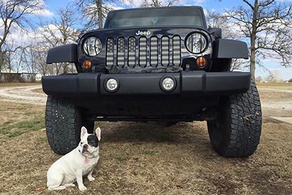 Platinum American Tactical Grille Insert