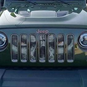 Always Watching Grille Insert
