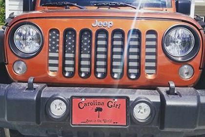 Platinum American Tactical Grille Insert