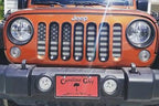 Platinum American Tactical Grille Insert