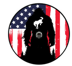 American Flag Bronco Sasquatch Spare Tire Cover