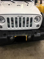 Always Watching Grille Insert