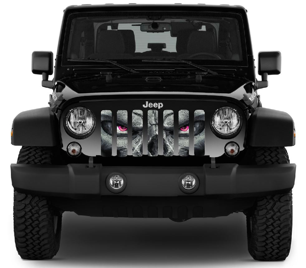 Always Watching (PINK Eyes) Grille Insert