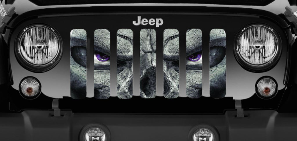 Always Watching (PURPLE Eyes) Grille Insert