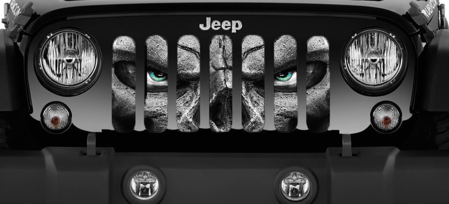 Always Watching (TEAL BLUE Eyes) Grille Insert