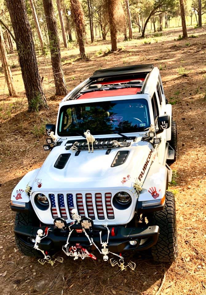 Old Glory Grille Insert