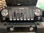 ARGH!!!! Pirate Flag Grille Insert