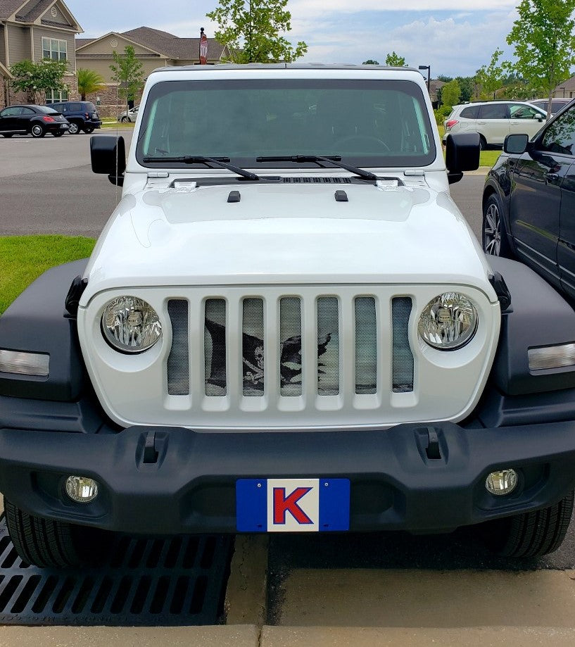 ARGH!!!! Pirate Flag Grille Insert