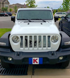 ARGH!!!! Pirate Flag Grille Insert