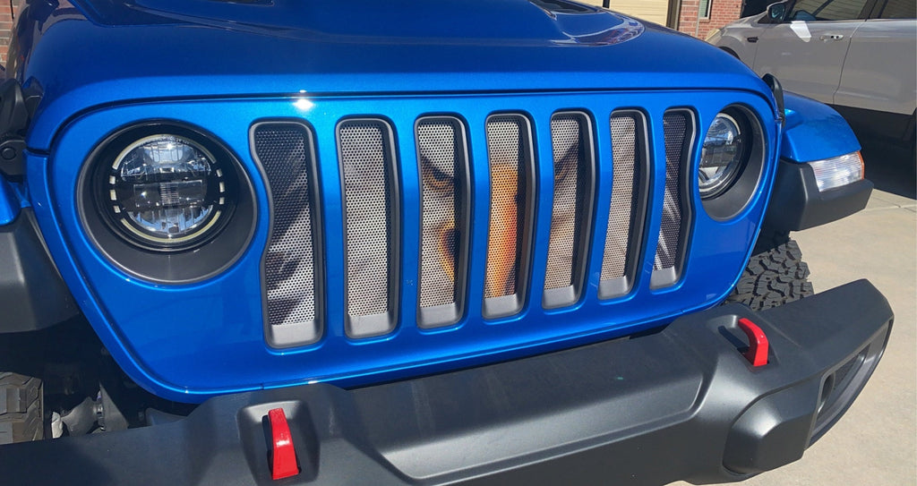 American Eagle Grille Insert