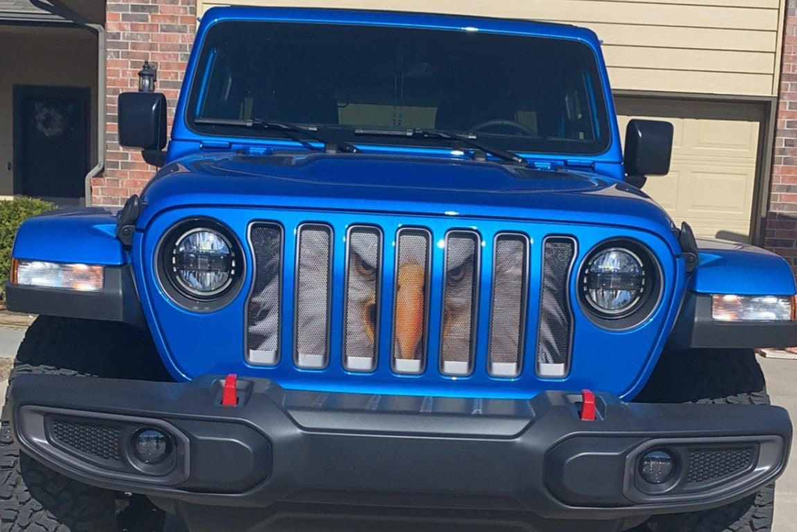 American Eagle Grille Insert