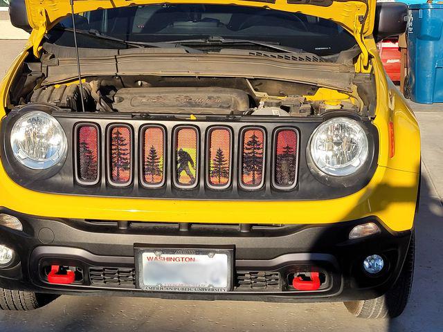 Platinum Bigfoot Grille Insert