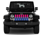 Bisexual Pride Flag Grille Insert