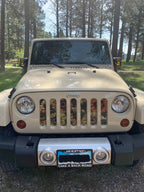 Bold Sunflower Grille Insert
