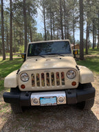 Bold Sunflower Grille Insert