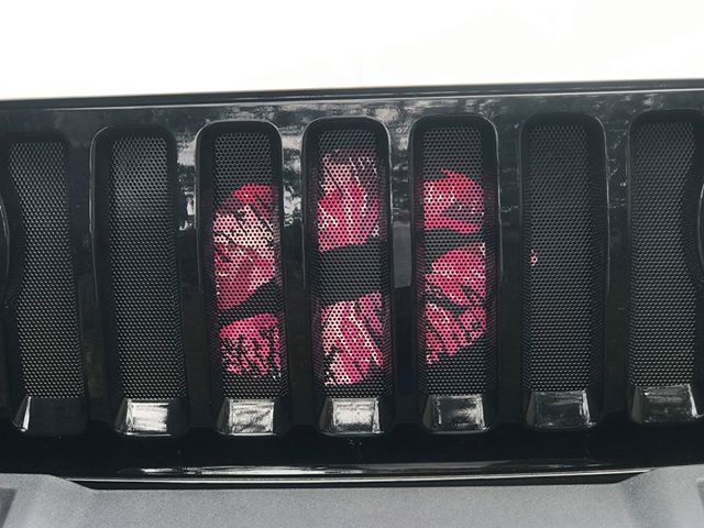 Pink Ombre Kiss Grille Insert
