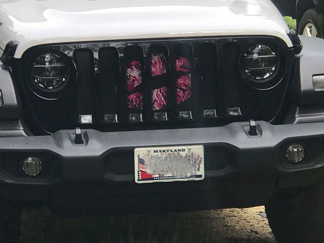 Pink Ombre Kiss Grille Insert