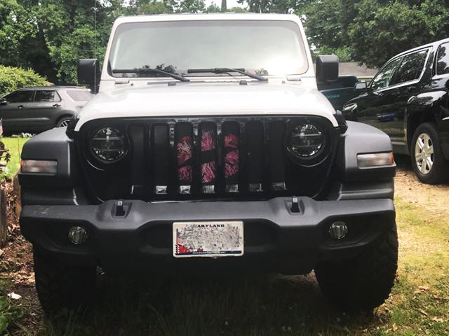 Pink Ombre Kiss Grille Insert