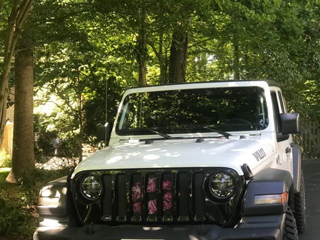 Pink Ombre Kiss Grille Insert