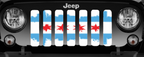 Chicago Skies Grille Insert