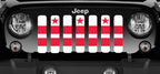 District of Columbia DC Flag Grille Insert