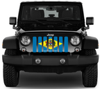 Delaware State Flag Grille Insert