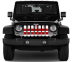 District of Columbia DC Grunge State Flag Grille Insert