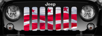 Waving District of Columbia DC State Flag Grille Insert