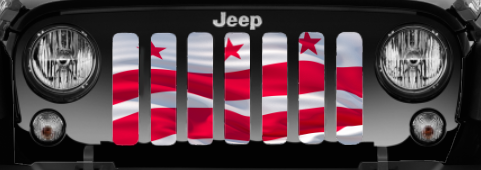 Waving District of Columbia DC State Flag Grille Insert