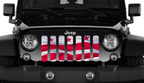 Waving District of Columbia DC State Flag Grille Insert