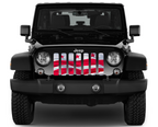 Waving District of Columbia DC State Flag Grille Insert