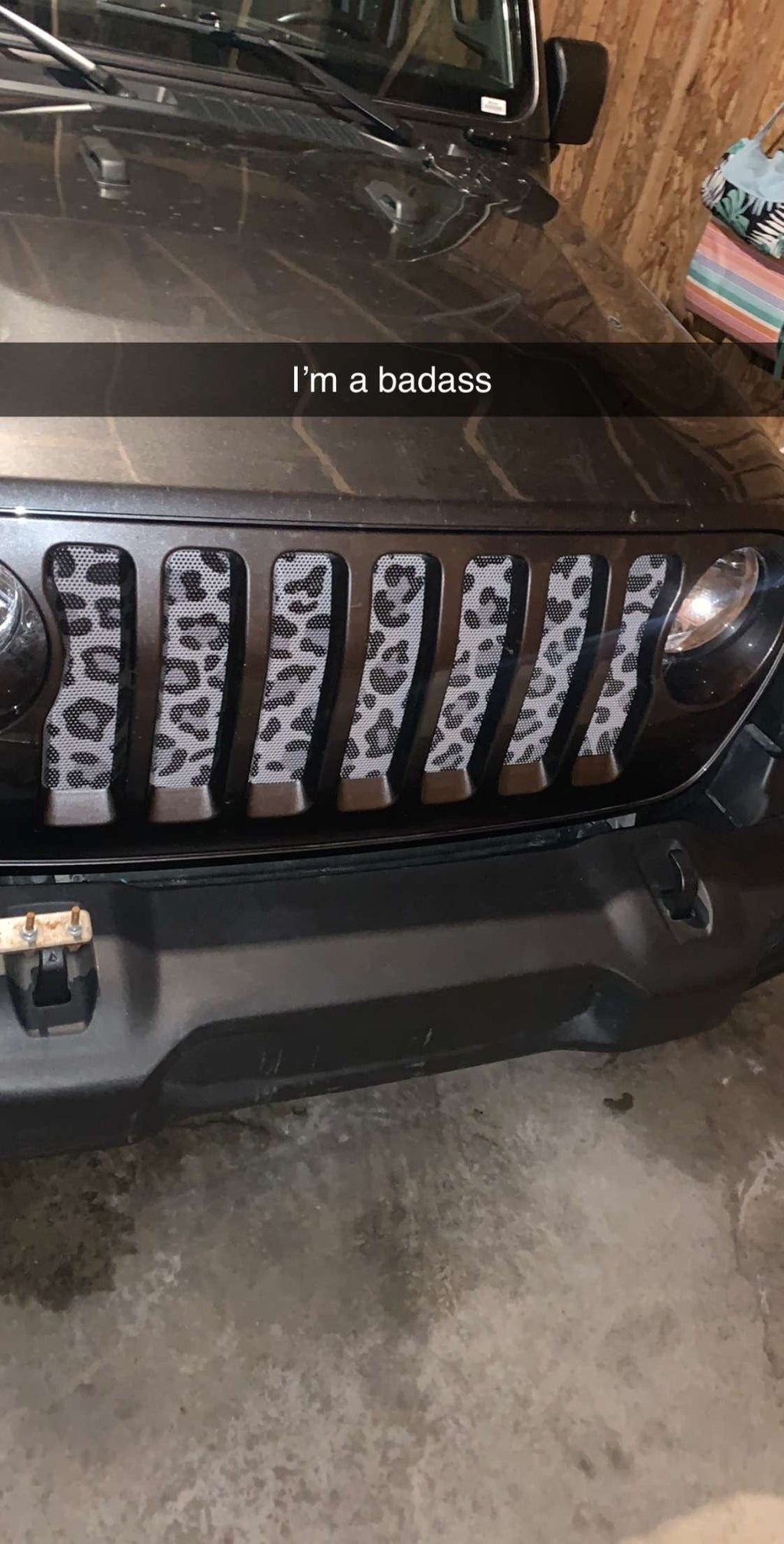 Gray Leopard Print Grille Insert