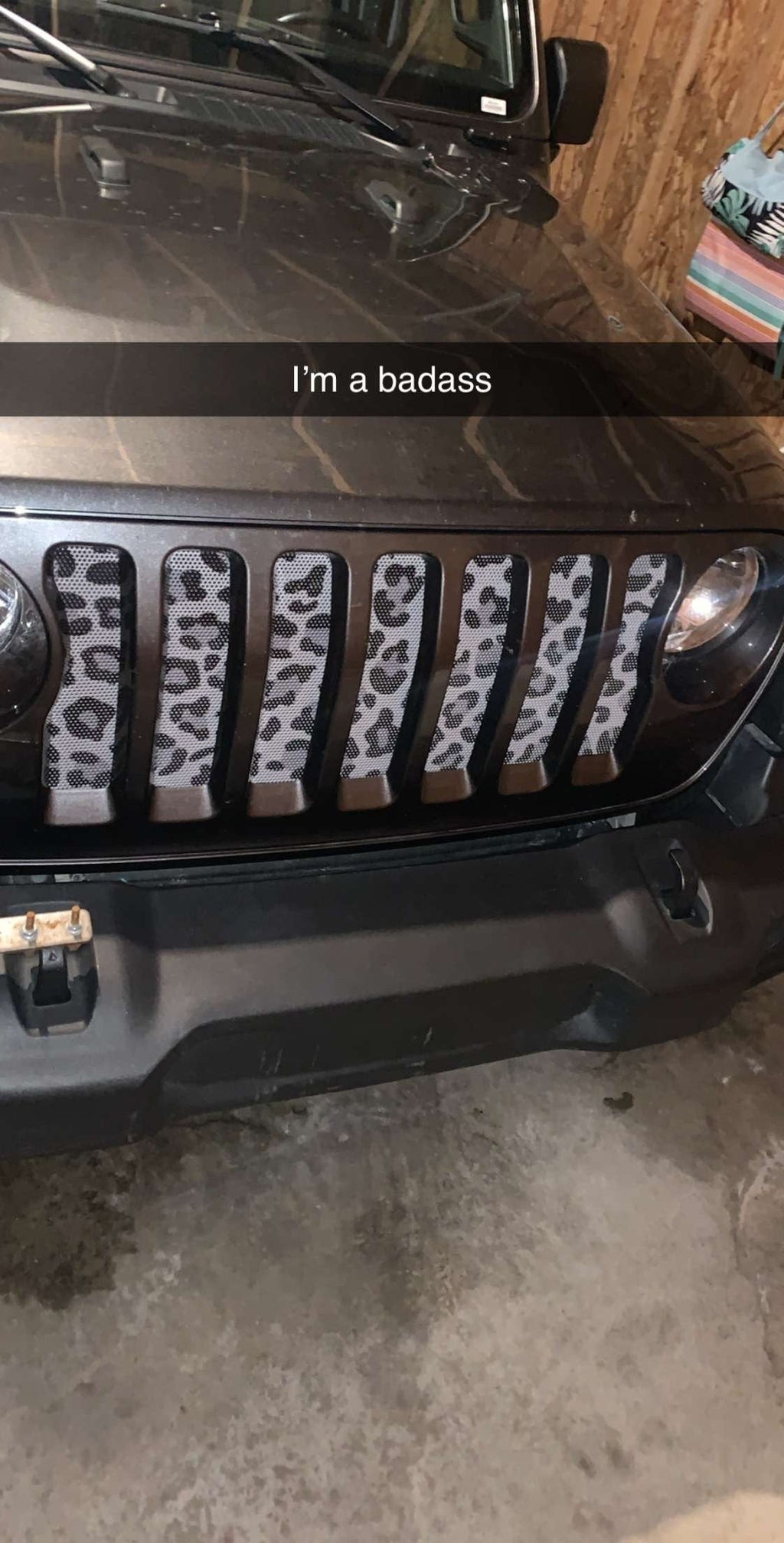 Platinum Gray Leopard Print Grille Insert