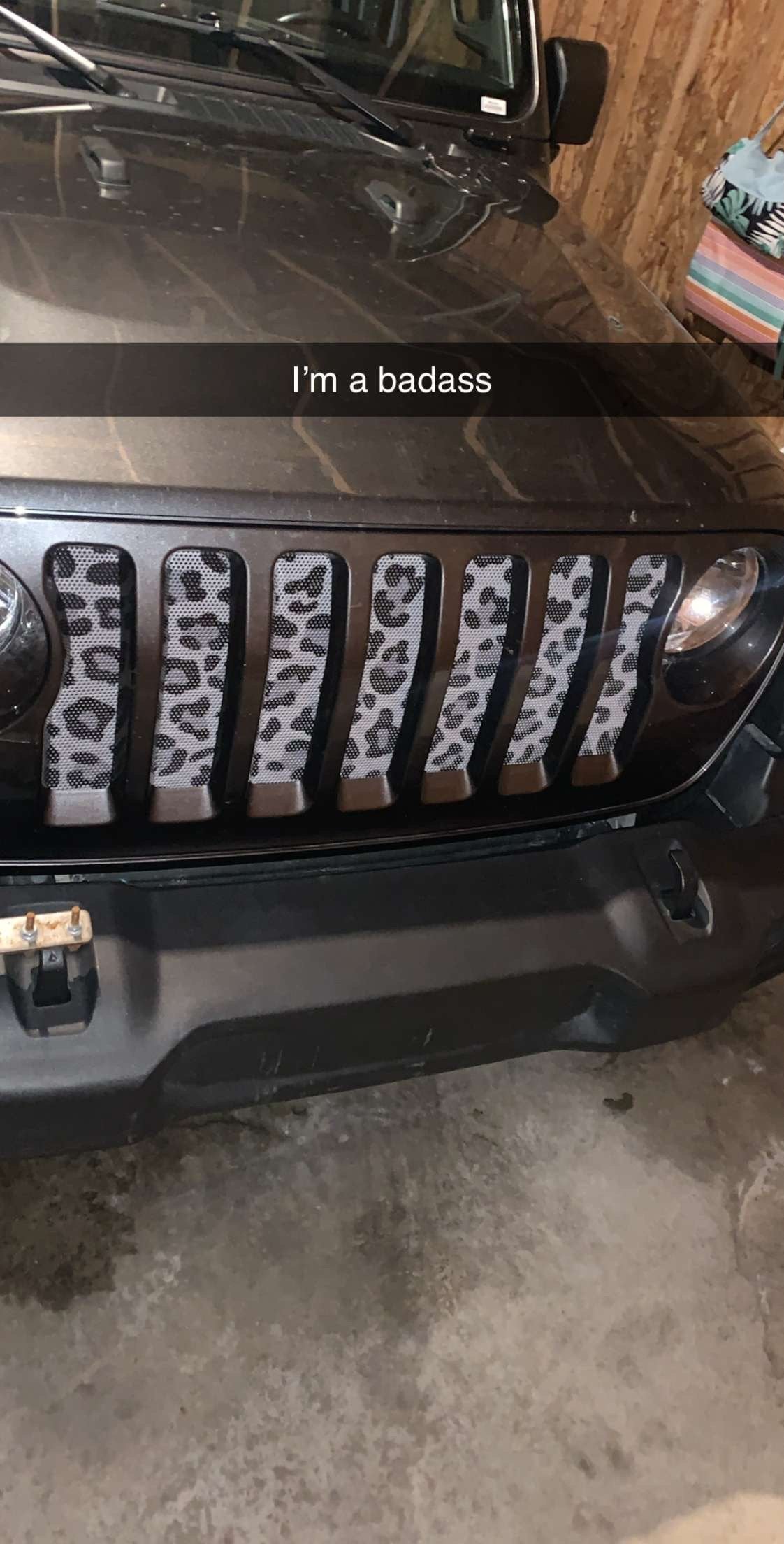Platinum Gray Leopard Print Grille Insert