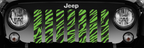 Green Zebra Print Grille Insert