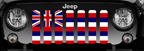 Hawaii State Flag Grille Insert