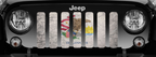 Illinois Grunge State Flag Grille Insert