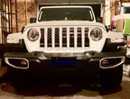 Blue Steel Grille Insert