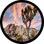 Joshua Tree National Park Spare Tire Cover