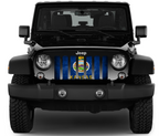 Kansas Grunge State Flag Grille Insert