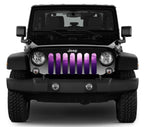 Ladies Night Purple & Pink Ombre Grille Insert