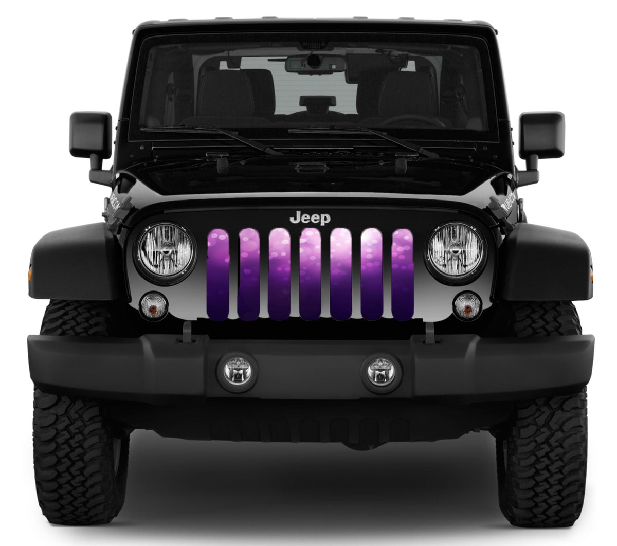 Ladies Night Purple & Pink Ombre Grille Insert