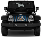 Louisiana Grunge State Flag Grille Insert