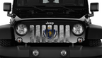 Massachusetts Grunge State Flag Grille Insert