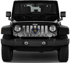 Massachusetts Grunge State Flag Grille Insert