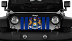 Michigan State Flag Grille Insert
