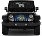 Nebraska Grunge State Flag Grille Insert
