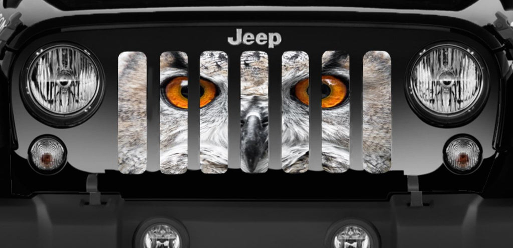 Night Owl Grille Insert