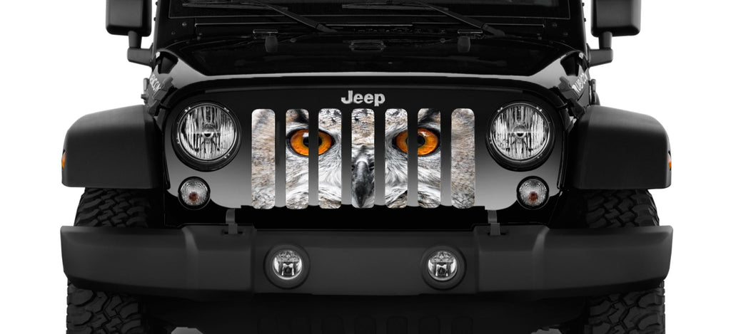 Night Owl Grille Insert